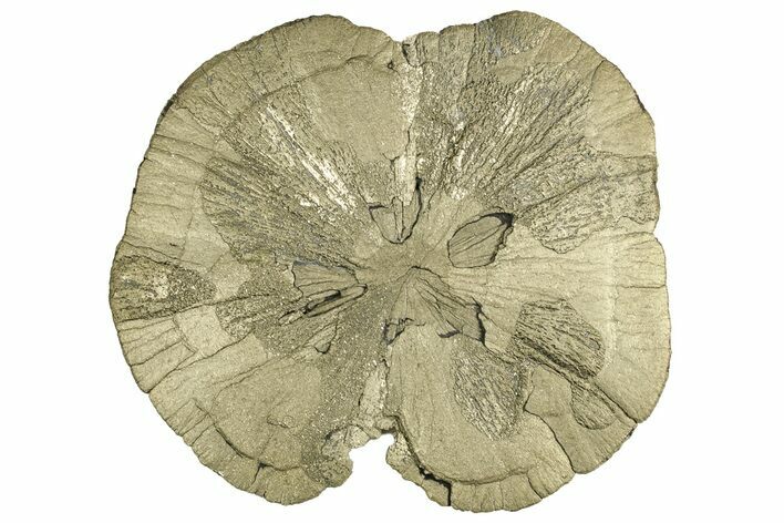 Pyrite Sun - Sparta, Illinois #315888